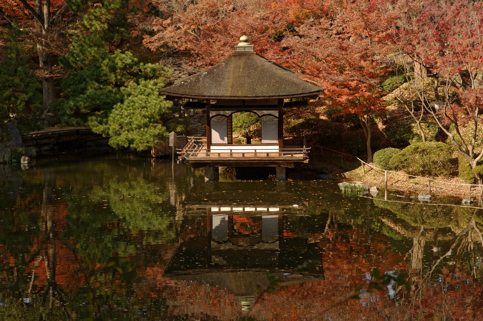 豚骨醤油スープの和歌山ラーメン