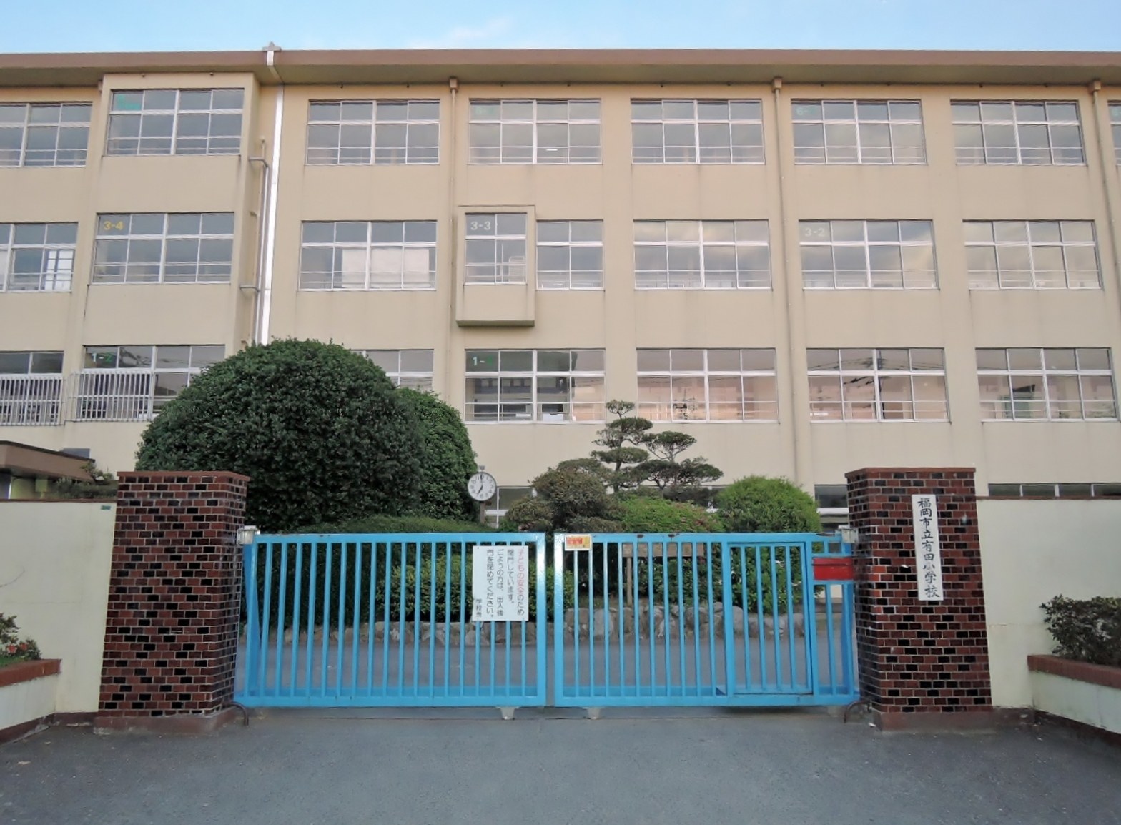 有田川町清水のあらぎ島の棚田を上から見下ろした風景