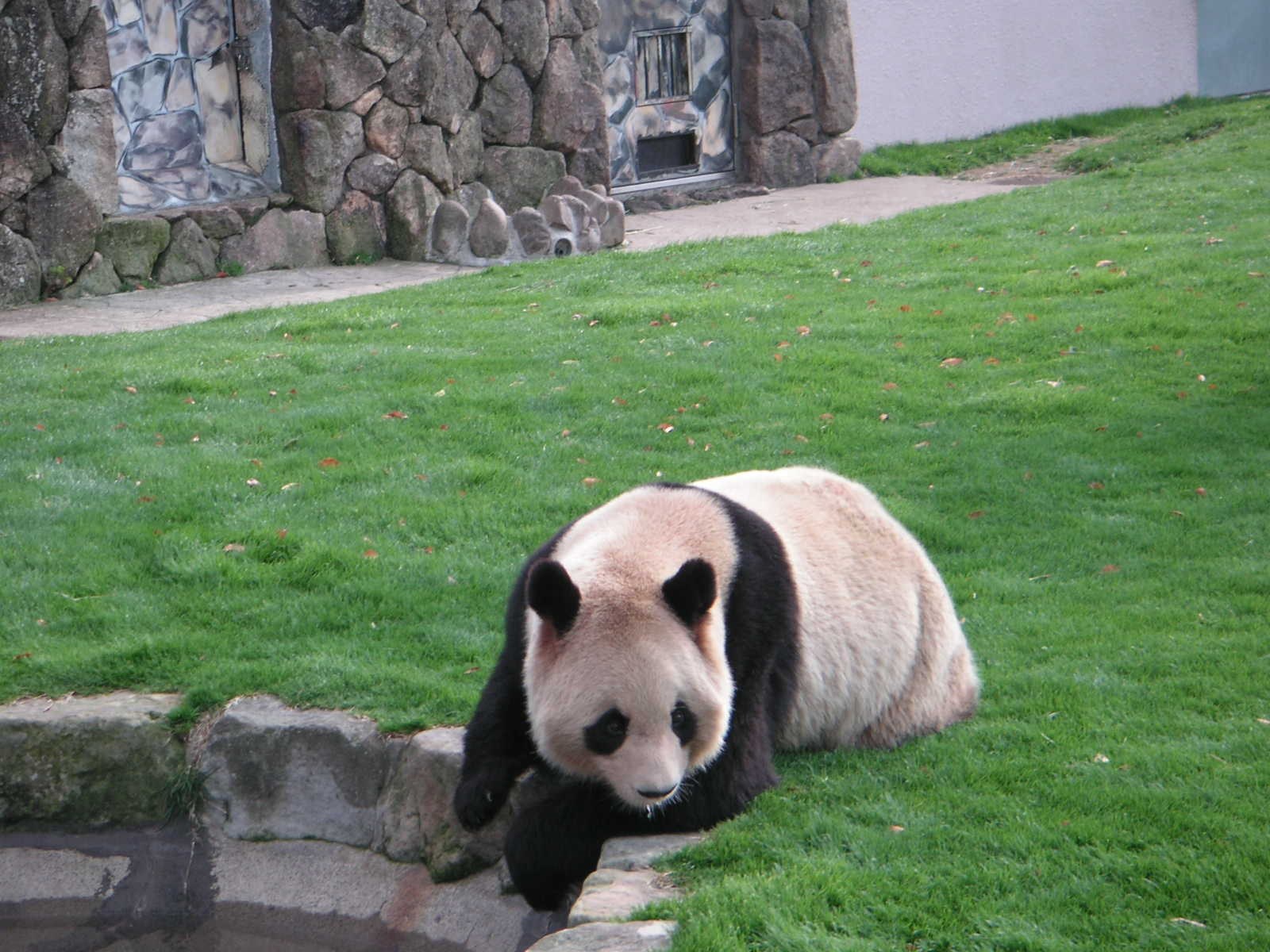チケット購入と入園ゲートのイメージ