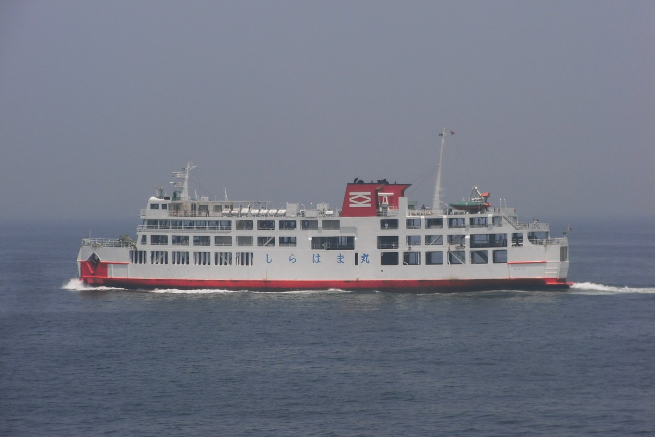 白浜町の春の桜と海沿いの道