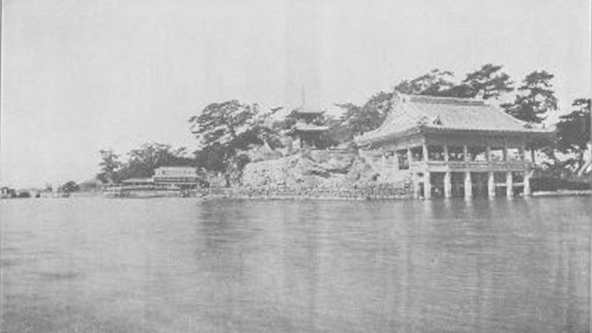 和歌山市の植木鉢の捨て方|30cm基準・土の扱い・粗大ごみ申込